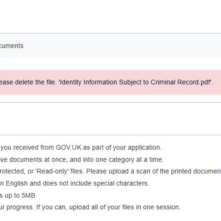 VFS Global Belge Yüklerken Virüs Uyarısı Ve Hizmet Belirsizliği Sorunu
