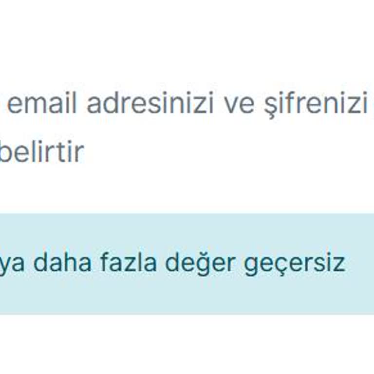 VFS Global Hollanda Vizesi Randevu Sistemine Giriş Sorunu