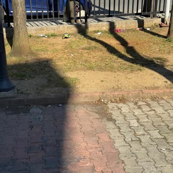 Sancaktepe Emek Mahallesi Parklarında Temizlik Sorunu