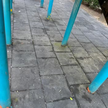 Sancaktepe Emek Mahallesi Parklarında Temizlik Sorunu