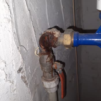 Ray Sigorta Ev Sigortasında Küçük Hasarlara Destek Sağlanmıyor