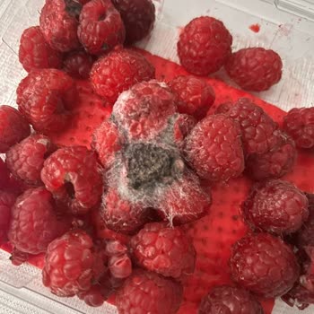 Küflü Ürün Ve İlgisiz Mağaza Personeli Nedeniyle Mağduriyet Yaşadım