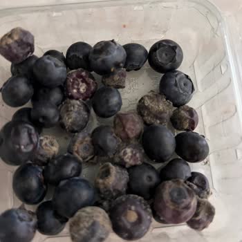 Küflü Ürün Ve İlgisiz Mağaza Personeli Nedeniyle Mağduriyet Yaşadım