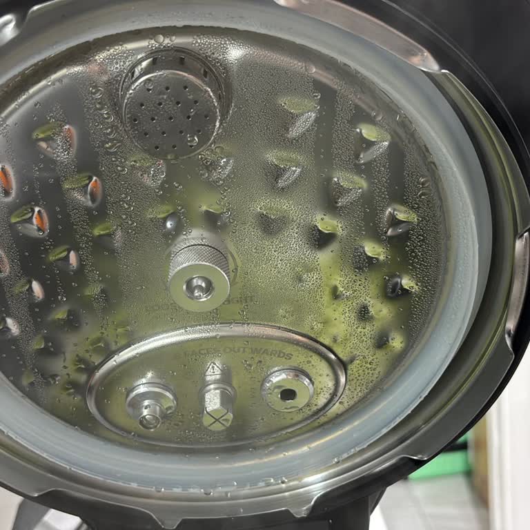 Philips Ev Aletleri Akıllı Düdüklü Tencerede Eksik Parçalar Ve Basınç Sorunu