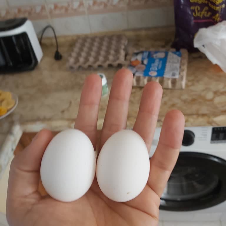 M Boy Yumurta Kutusundan Küçük Boy Yumurta Çıkması Mağduriyet Yaratıyor