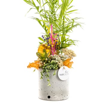 Sipariş Edilen Çiçekle Gönderilenin Alakasız Ve Özensiz Olması Büyük Hayal Kırıklığı