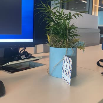 Sipariş Edilen Çiçekle Gönderilenin Alakasız Ve Özensiz Olması Büyük Hayal Kırıklığı