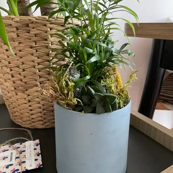 Sipariş Edilen Çiçekle Gönderilenin Alakasız Ve Özensiz Olması Büyük Hayal Kırıklığı