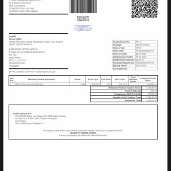 İade Sürecinde Yaşlı Ve Hasta Aile Bireylerine Destek Verilmedi