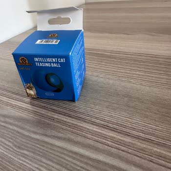 Aldığım Kedi Oyuncağı Farklı Çıktı, Firmaya Ulaşamıyorum