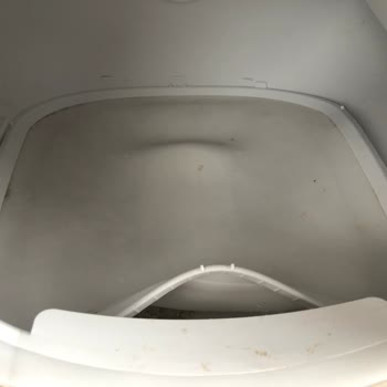 Kedi Tuvaletinde Ped Sorunu Kimse Çözmüyor