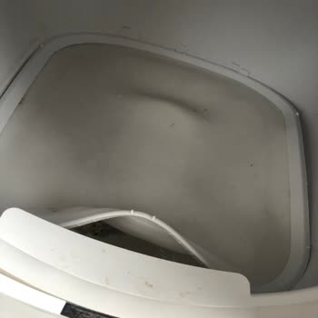 Kedi Tuvaletinde Ped Sorunu Kimse Çözmüyor