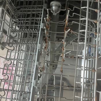 Teka Bulaşık Makinesinde Pas Sorunu Ve Servis İlgisizliği