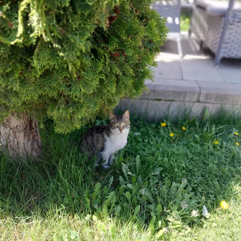 Erzurum Belediyesi Sosyal Tesisleri Güzel Bahçe Hayal Kırıklığı Yaratan Kahvaltı Deneyimi
