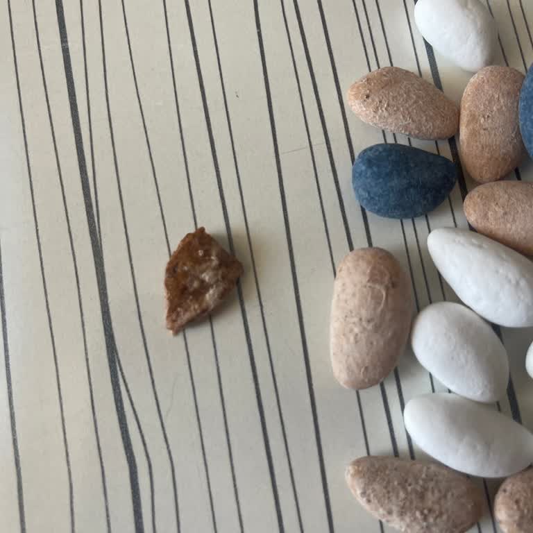 Dışı Kaplı Badem Şekerlemesi Diş Kırılmasına Sebep Oldu