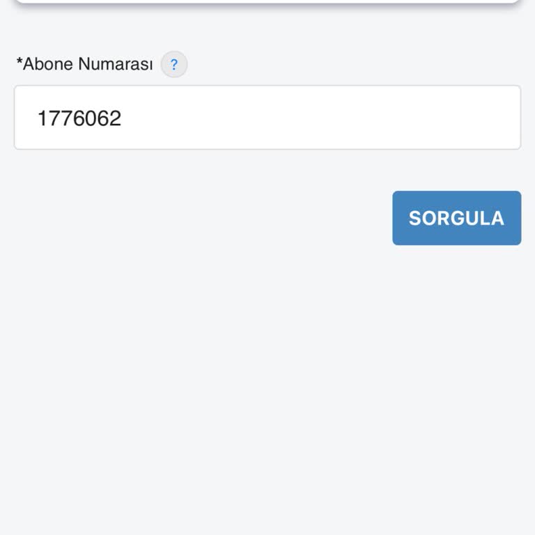 E-Devlet Üzerinden Abonelik Başvurusu Hatası Ve İSKİ'den Yetersiz Destek
