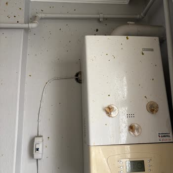 Patlayan Düdüklüye Taç'tan Çözüm Yok