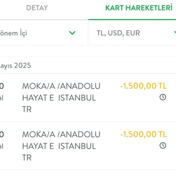 Fazla Prim Kesintisi Ve Cevapsız Şikayetler: Anadolu Hayat Emeklilik'te Çözüm Yok