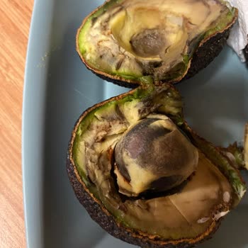 Migros Çürük Avokado ve Yetersiz Müşteri Hizmeti Deneyimi