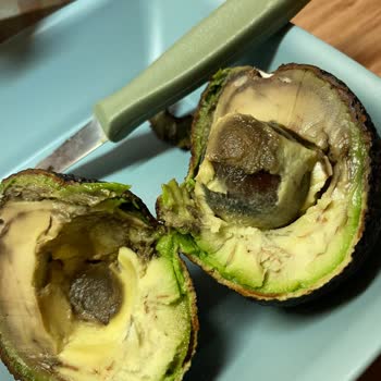 Migros Çürük Avokado ve Yetersiz Müşteri Hizmeti Deneyimi