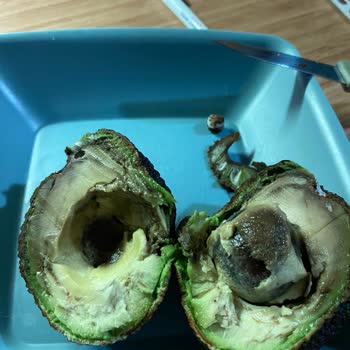 Migros Çürük Avokado ve Yetersiz Müşteri Hizmeti Deneyimi