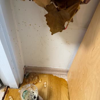 Kahve Siparişim Döküldü, Yetersiz İade Ve Kupon Sistemi Mağduriyeti