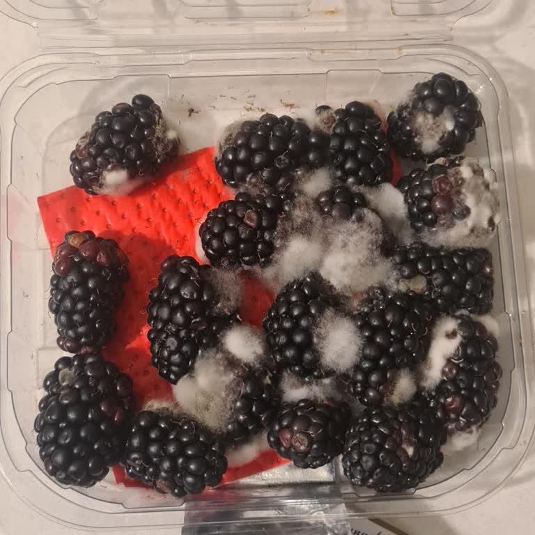 Migros Sanal Marketten Çürük Ürün Ve İlgisiz Müşteri Hizmeti