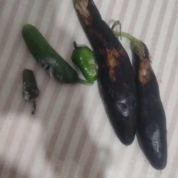 Arçelik Buzdolabında Çözülmeyen Sorunlar Ve Umursamaz Servis