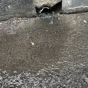 Bağcılar Belediyesi Yağmur Suyu Hattına Bağlanan Atık Su Çevre Sağlığını Tehdit Ediyor