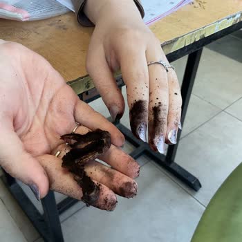 Aldığım Hurmanın İçinden Siyah Toz Çıkması Ve Sağlık Endişesi