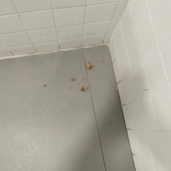 Burger King Hijyene Davet Ediyorum Sizi