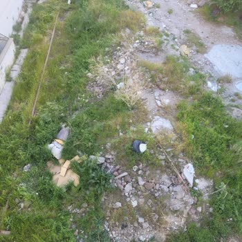 Keçiören Belediyesi'nden İlaçlama Ve Atık Toplama Talebimize Yanıt Verilmiyor