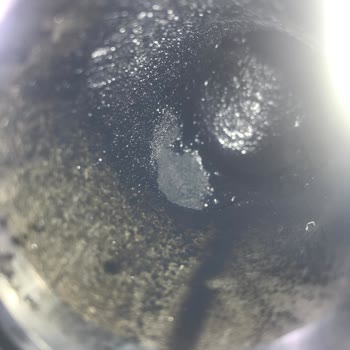 Citroen Berlingo Kronik Sorunları Ve Serviste Uzayan Mağduriyet