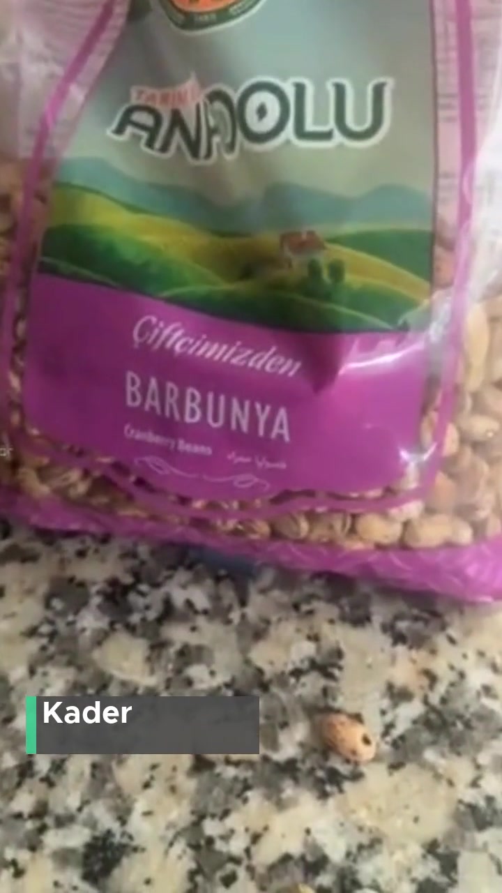 Tarım Kredi Kooperatif Market Bakliyat İçinden Çıkanlar videonun kapak resmi