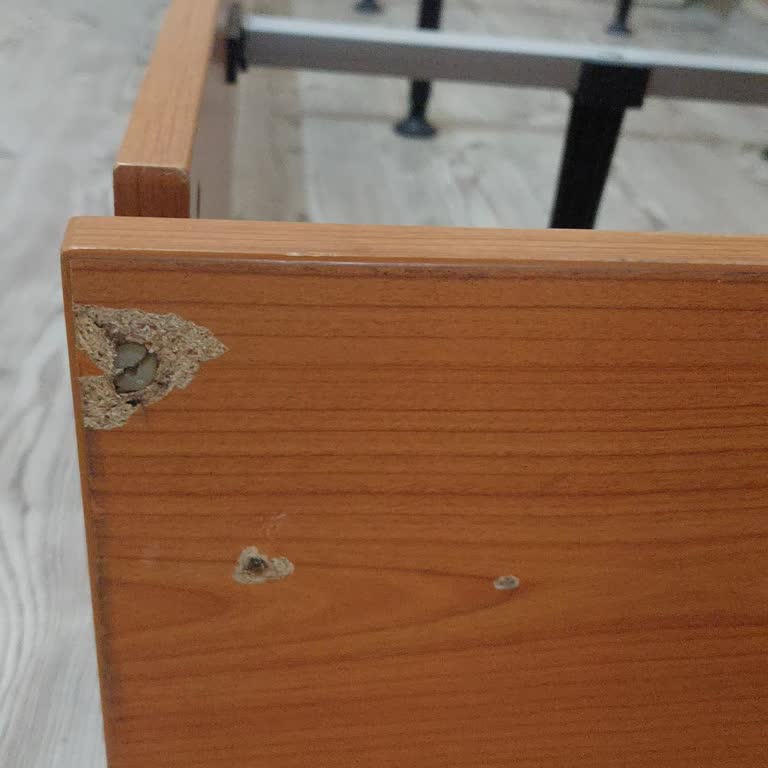 Anlaşılan Fiyatın Artırılması Ve Eşyaların Zarar Görmesi Mağduriyetim