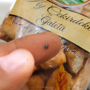 Galeta İçinden Yabancı Madde Çıkması ve Diş Kırılması Şikayeti