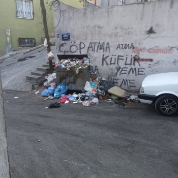 Çöp Konteynerinin Yerinin Değiştirilmesini Ve Sorunların Giderilmesini Talep Ediyorum