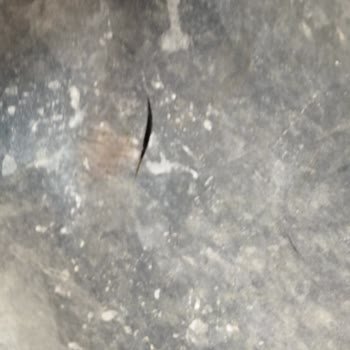 Yeni Alınan Lastikte Derin Kesikler Oluştu, Yardım Bekliyorum