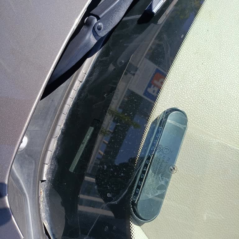 BMW 320d Ön Cam Fitili Çatladı Ve İçeriye Ses Alıyor