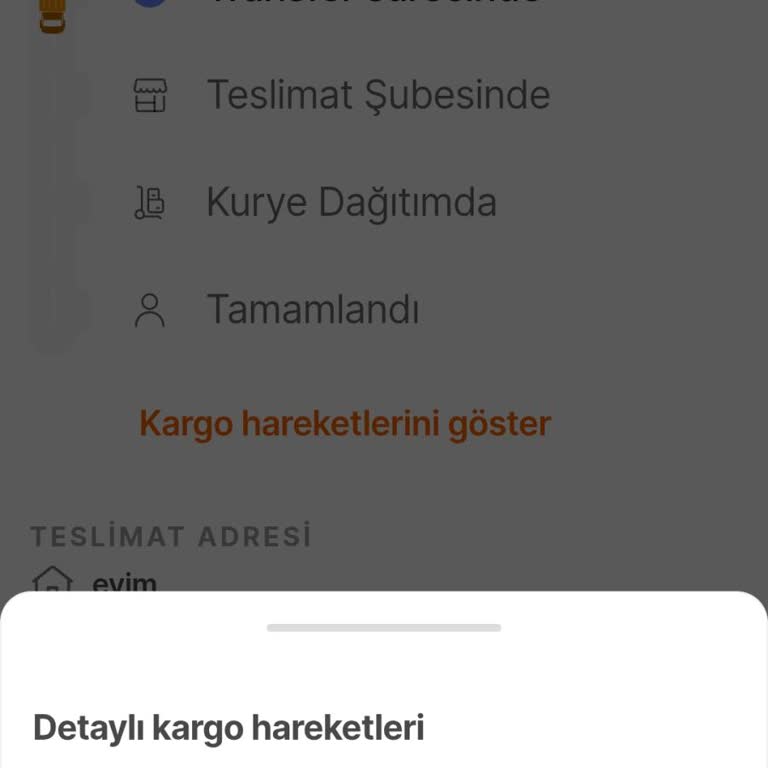 Hepsijet Kargo Teslimatında Gecikme Ve İletişimsizlik Mağduriyeti