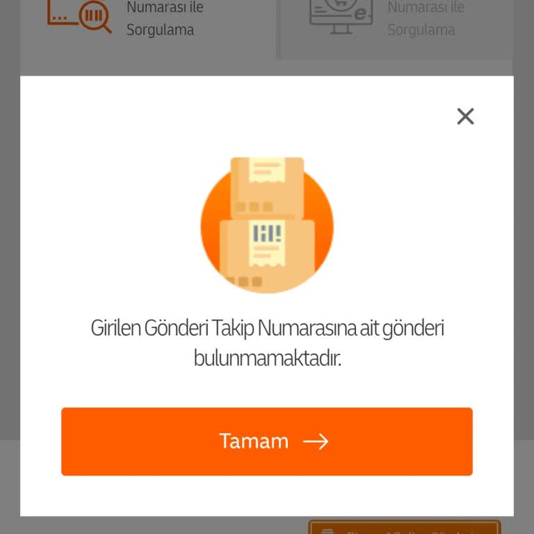 MNG Kargo İle Gelen TV Siparişimde Takip Ve Teslimat Sorunu Yaşadım
