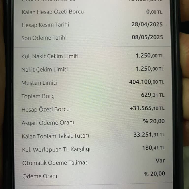 Kredi Kartımda Artı Bakiye Olmasına Rağmen Borç Görünüyor