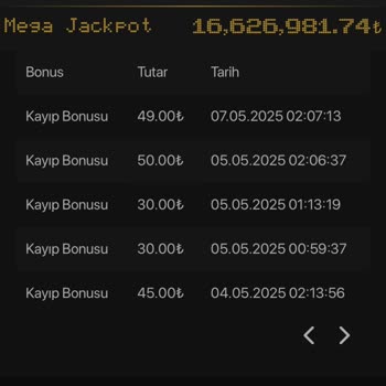 Yatırımlar Sonucu Kazanç Ve Ödeme Problemleri