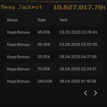 Yatırımlar Sonucu Kazanç Ve Ödeme Problemleri