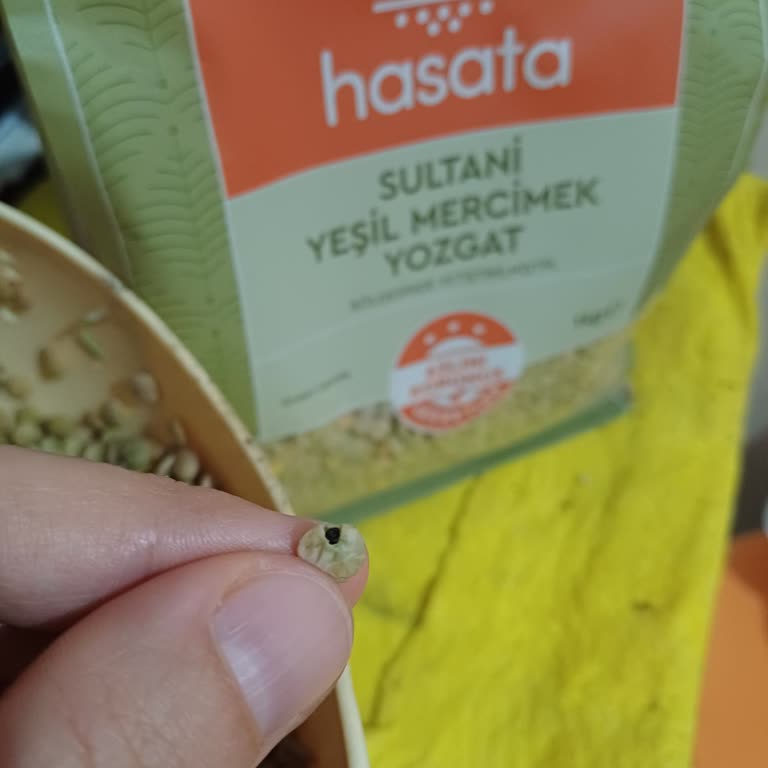 Aldığım Mercimeklerde Böcek Çıktı, İki Farklı Markada Aynı Sorun!