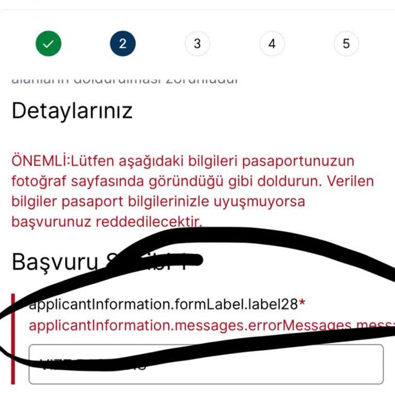 Danimarka VFS Global Randevu Sisteminde Sürekli Hata Sorunu