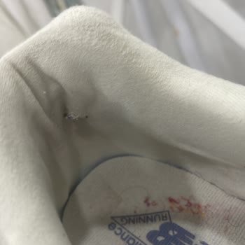 20 Günde Yıpranan Ayakkabı İçin Değişim Talebim Reddedildi