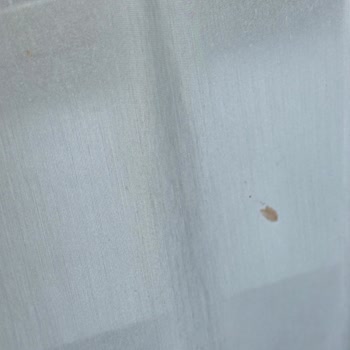 Holiday Inn Paris Otelinde Büyük Hayal Kırıklığı Ve İlgisizlik