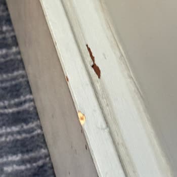 Holiday Inn Paris Otelinde Büyük Hayal Kırıklığı Ve İlgisizlik