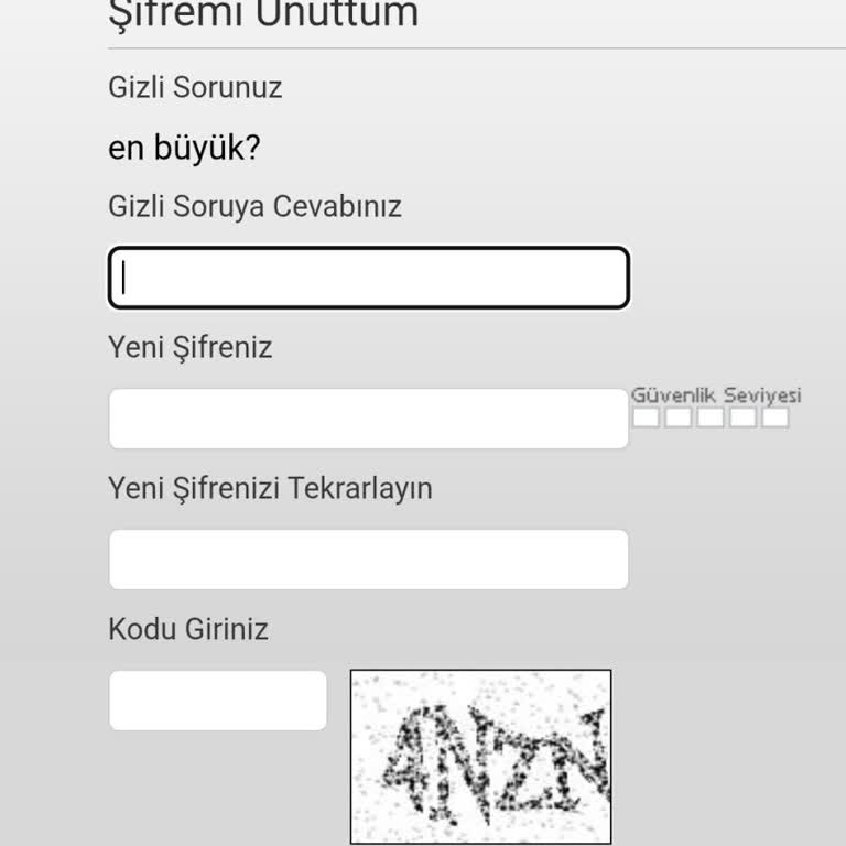 Kilitlenen Mynet Hesabı Yüzünden Instagram Hesabımı Kurtaramıyorum